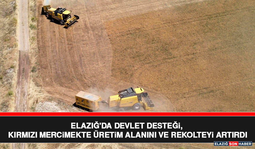 Elazığ'da Devlet Desteği, Kırmızı Mercimekte Üretim Alanını Ve Rekolteyi Artırdı