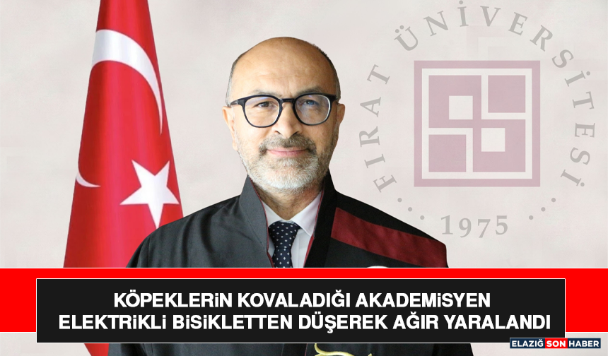 Köpeklerin Kovaladığı Akademisyen Elektrikli Bisikletten Düşerek Ağır Yaralandı