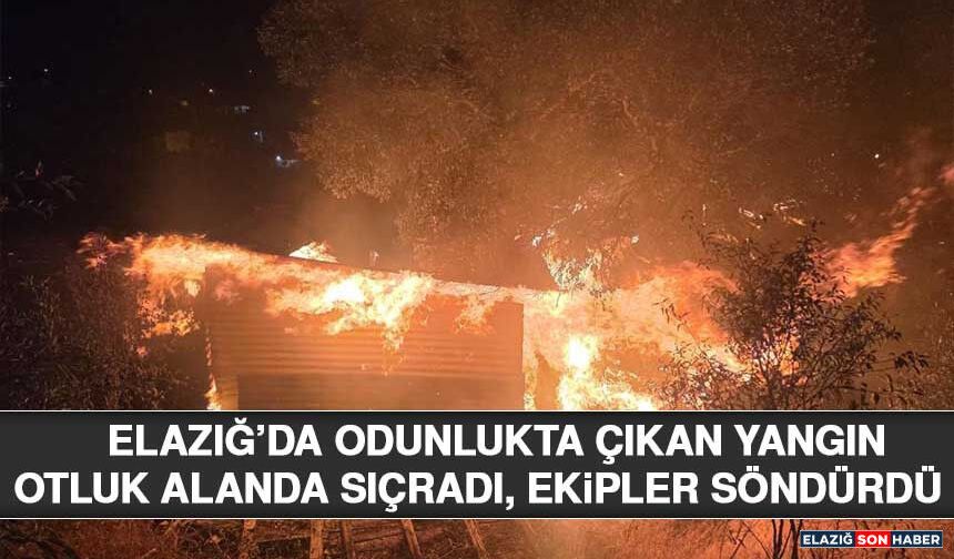Elazığ’da Odunlukta Çıkan Yangın Otluk Alanda Sıçradı, Ekipler Söndürdü