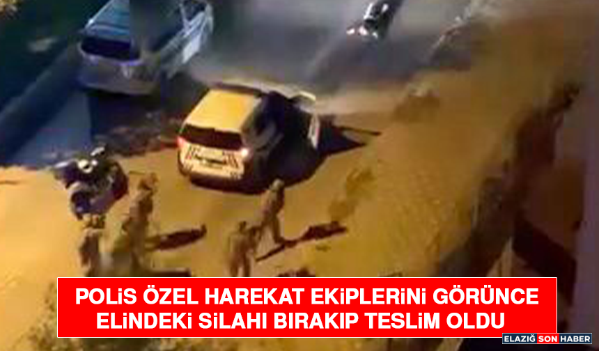 Polis Özel Harekat Ekiplerini Görünce Elindeki Silahı Bırakıp Teslim Oldu