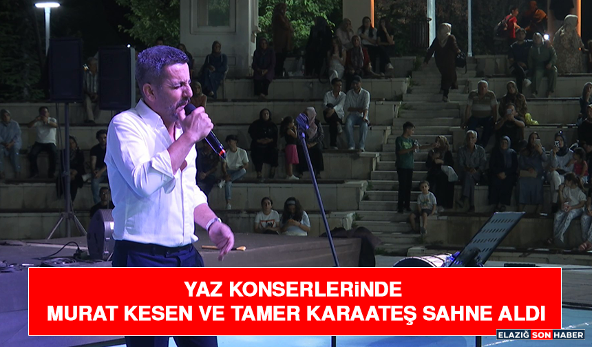 Yaz Konserlerinde Murat Kesen ve Tamer Karaateş Sahne Aldı