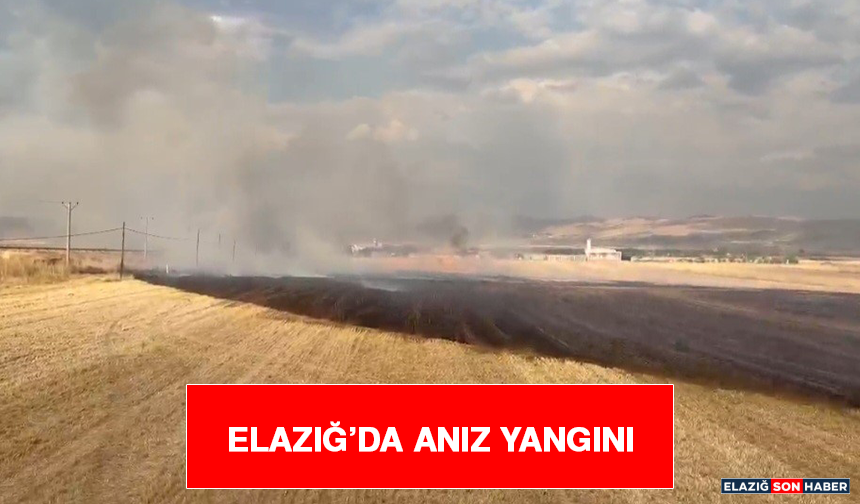 Elazığ’da Anız Yangını