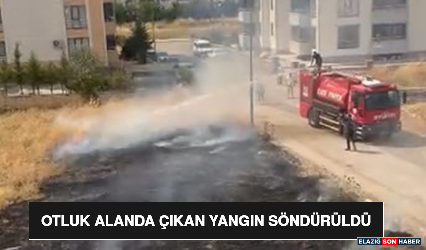Otluk Alanda Çıkan Yangın Söndürüldü