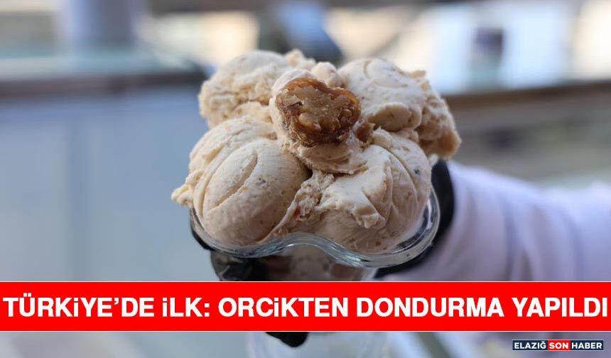 Türkiye’de İlk: Orcikten Dondurma Yapıldı