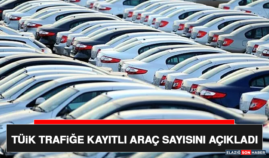 TÜİK Trafiğe Kayıtlı Araç Sayısını Açıkladı