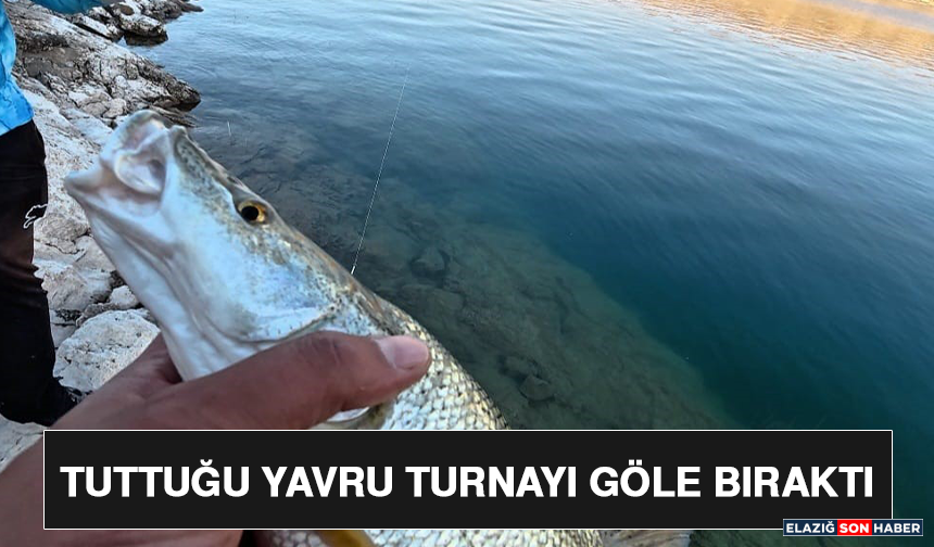 Tuttuğu Yavru Turnayı Göle Bıraktı