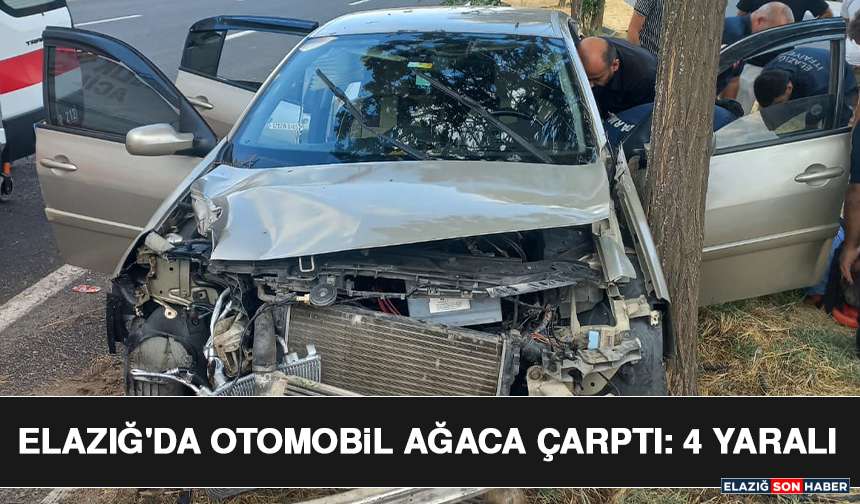 Elazığ'da Otomobil Ağaca Çarptı: 4 Yaralı