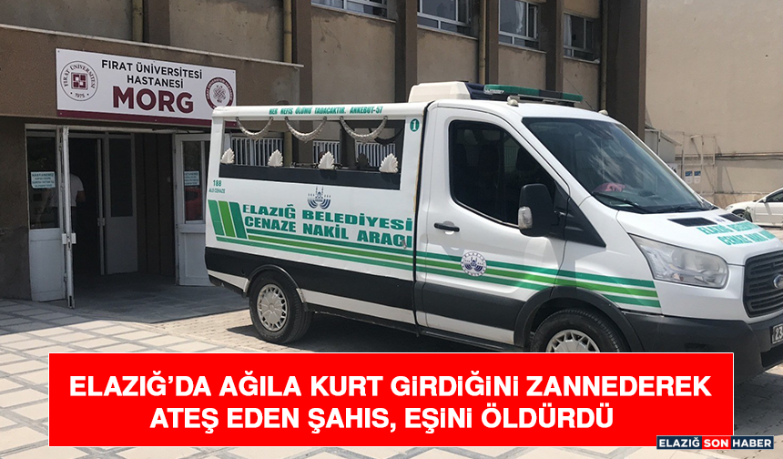 Elazığ’da Ağıla Kurt Girdiğini Zannederek Ateş Eden Şahıs, Eşini Öldürdü