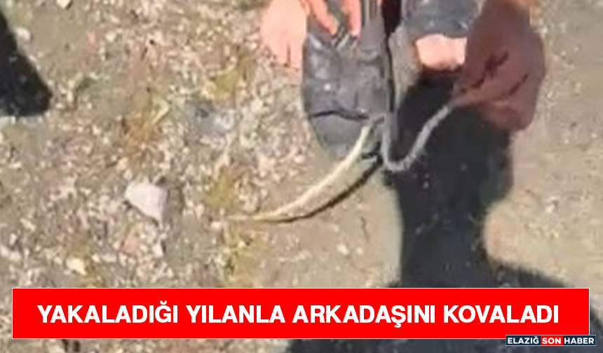 Yakaladığı Yılanla Arkadaşını Kovaladı