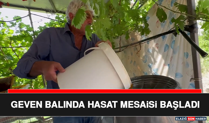 Geven Balında Hasat Mesaisi Başladı