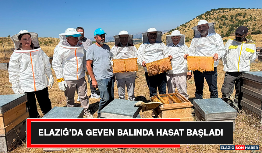Elazığ’da Geven Balında Hasat Başladı