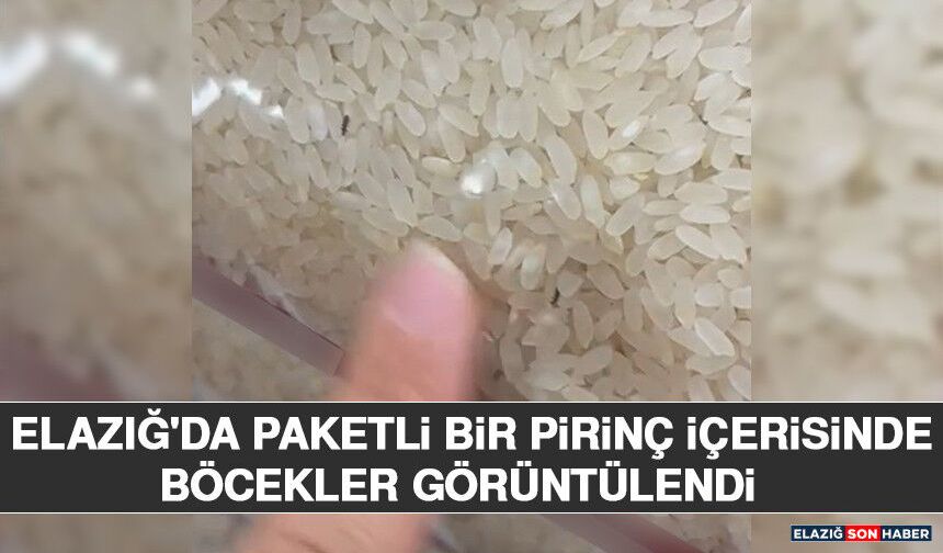 Elazığ'da Paketli Bir Pirinç İçerisinde Böcekler Görüntülendi