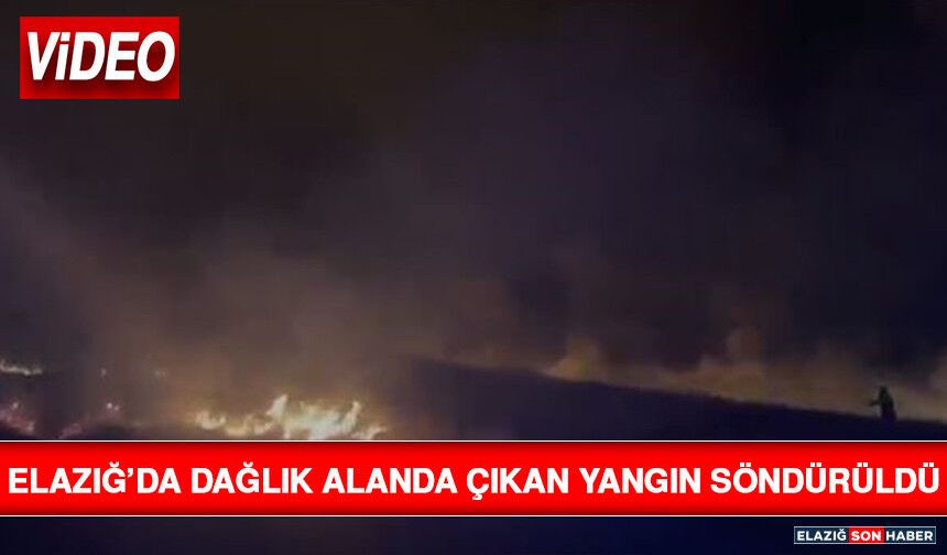 Elazığ’da Dağlık Alanda Çıkan Yangın Söndürüldü