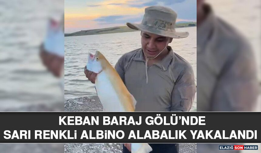 Keban Baraj Gölü’nde Sarı Renkli Albino Alabalık Yakalandı