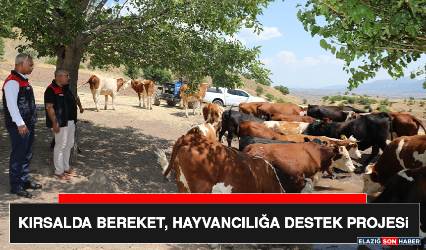 Kırsalda Bereket, Hayvancılığa Destek Projesi