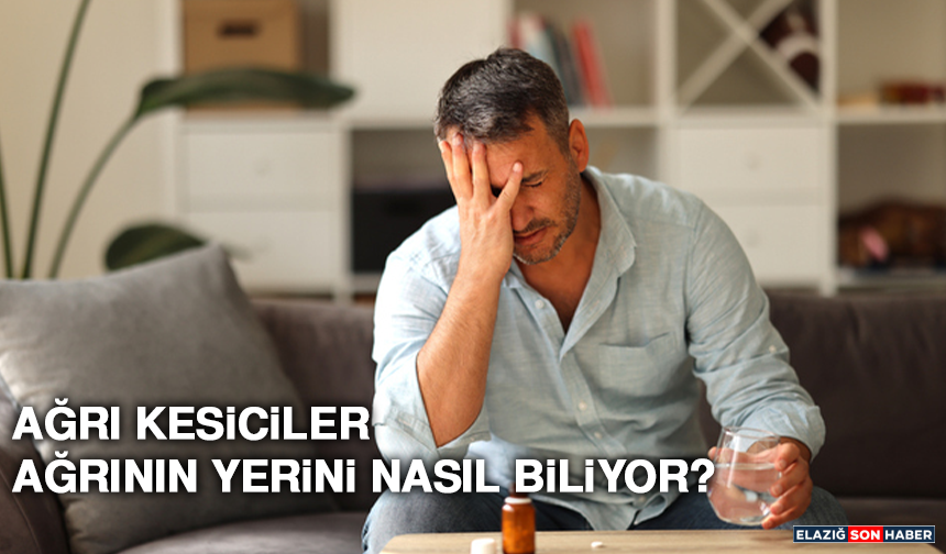 Ağrı Kesiciler Ağrının Yerini Nasıl Biliyor?
