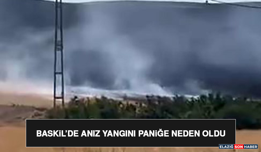 Baskil’de Anız Yangını Paniğe Neden Oldu