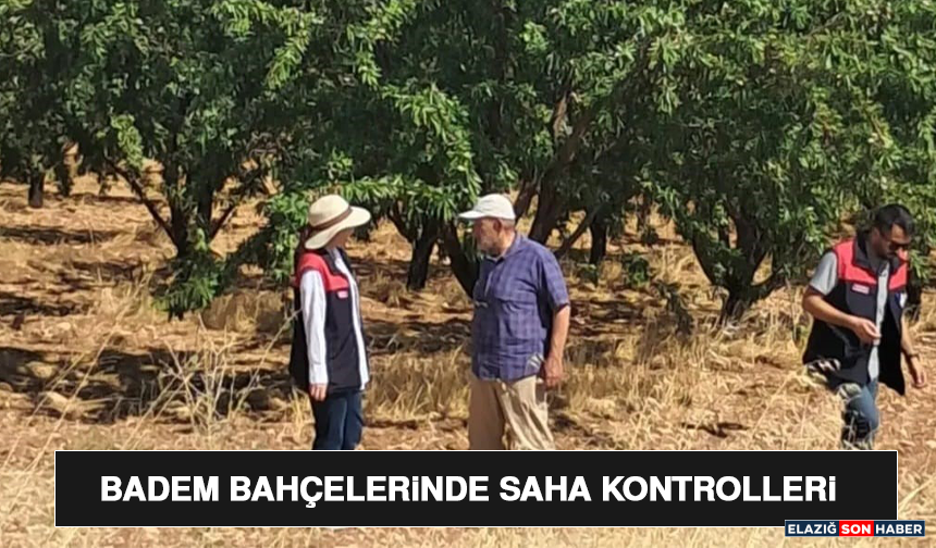 Ağın’da Badem Bahçelerinde Saha Kontrolleri