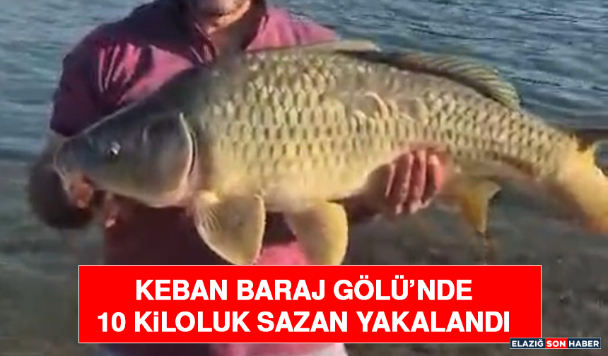 Keban Baraj Gölü’nde 10 Kiloluk Sazan Yakalandı