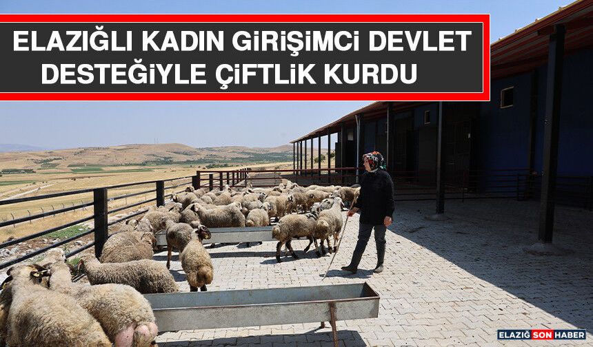 Elazığlı Kadın Girişimci Devlet Desteğiyle Çiftlik Kurdu
