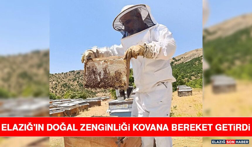 Elazığ'ın Doğal Zenginliği Kovana Bereket Getirdi