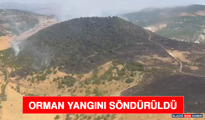 Orman Yangını Söndürüldü