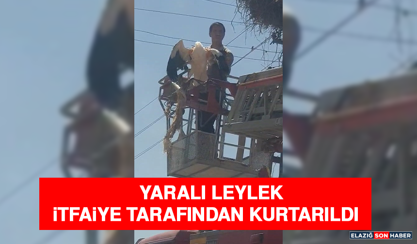Yaralı Leylek İtfaiye Tarafından Kurtarıldı