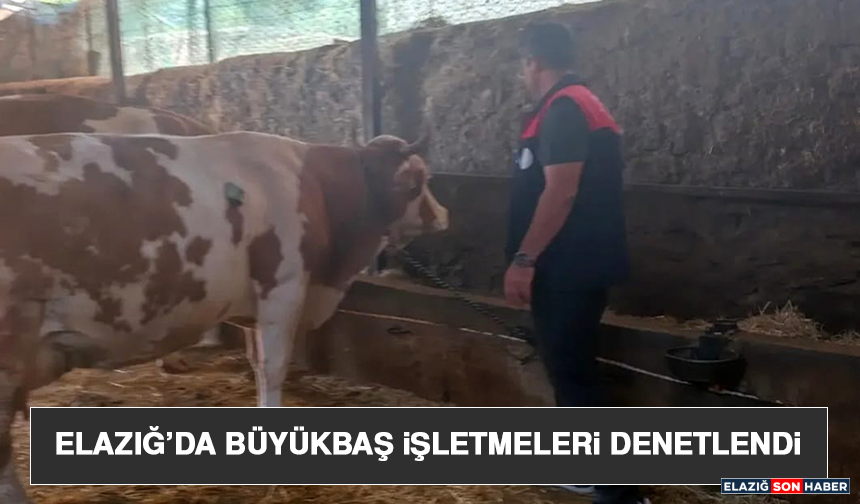 Elazığ’da Büyükbaş İşletmeleri Denetlendi