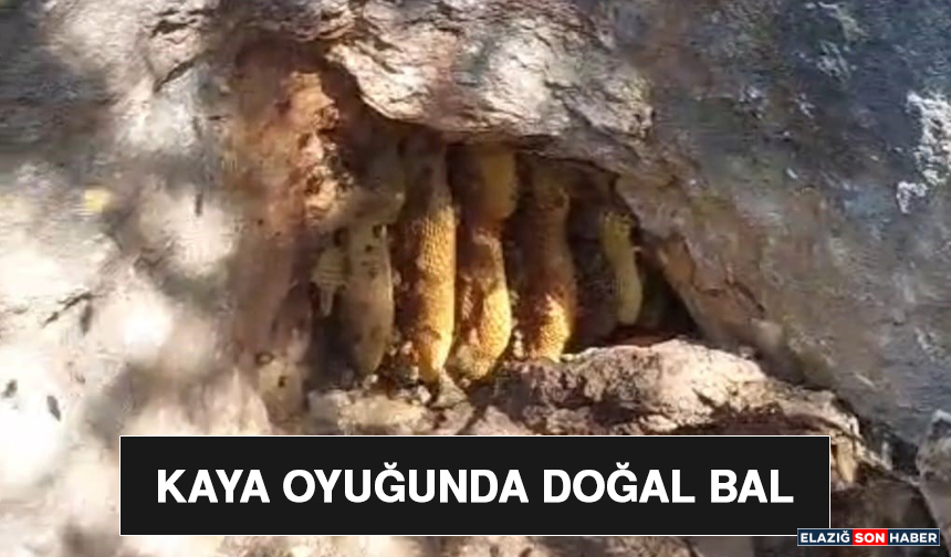 Kaya Oyuğunda Doğal Bal