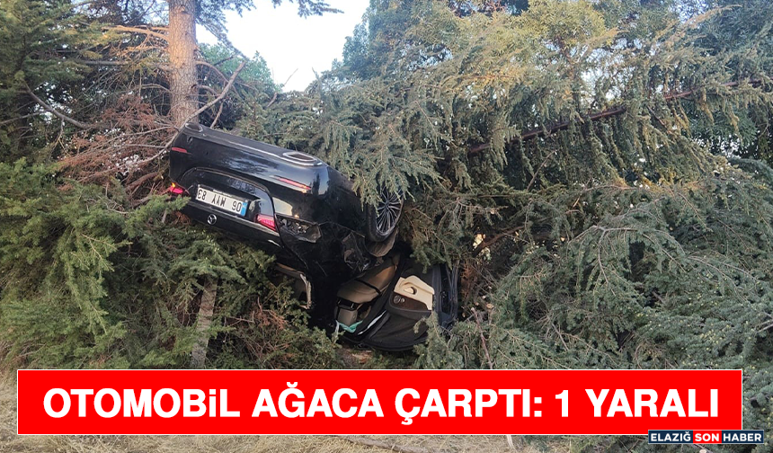 Otomobil Ağaca Çarptı: 1 Yaralı