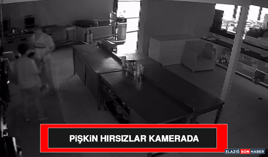 Pişkin Hırsızlar Kamerada