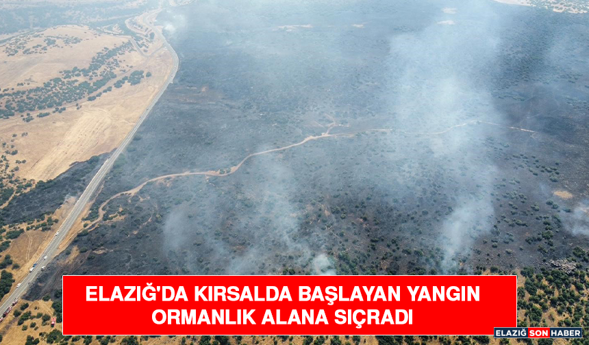 Elazığ'da Kırsalda Başlayan Yangın Ormanlık Alana Sıçradı