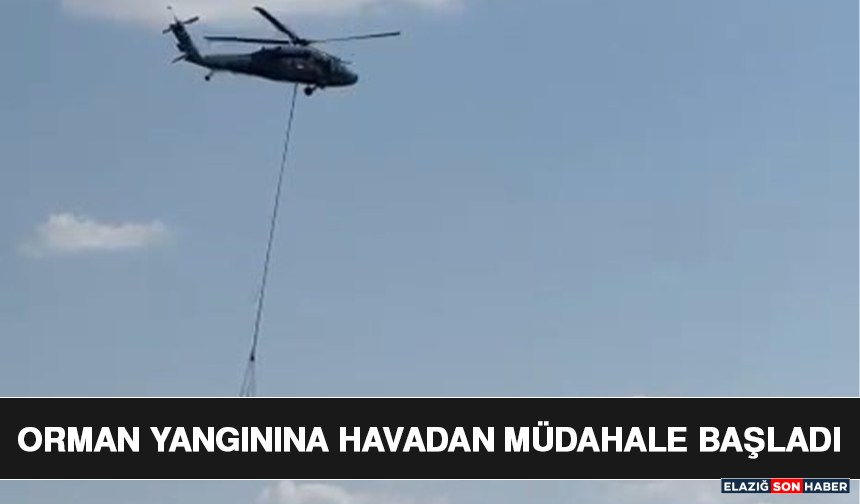 Orman Yangınına Havadan Müdahale Başladı