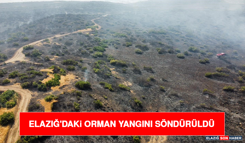 Elazığ'daki Orman Yangını Söndürüldü