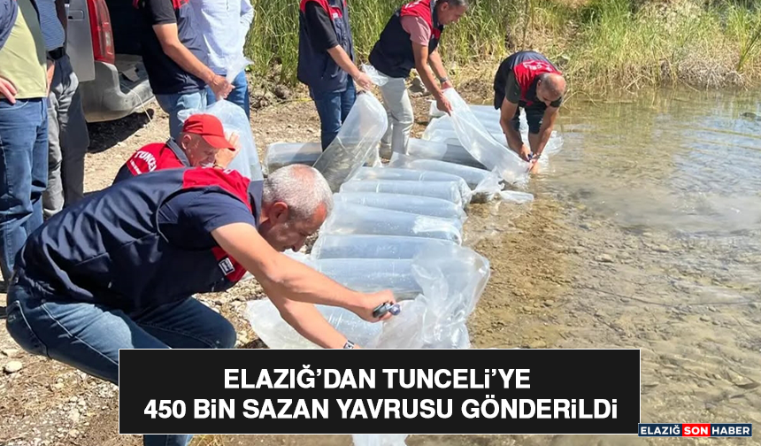 Elazığ’dan Tunceli’ye 450 Bin Sazan Yavrusu Gönderildi