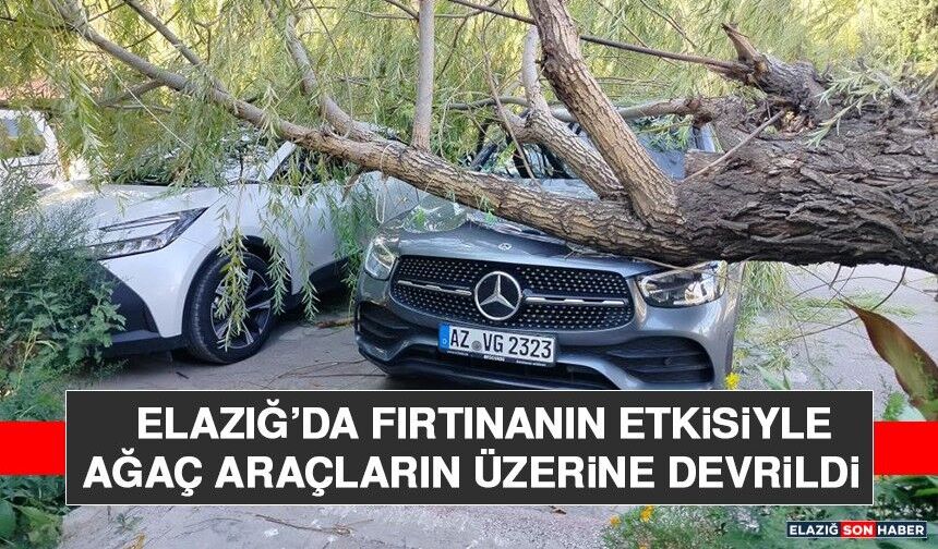 Elazığ’da Fırtınanın Etkisiyle Ağaç Araçların Üzerine Devrildi