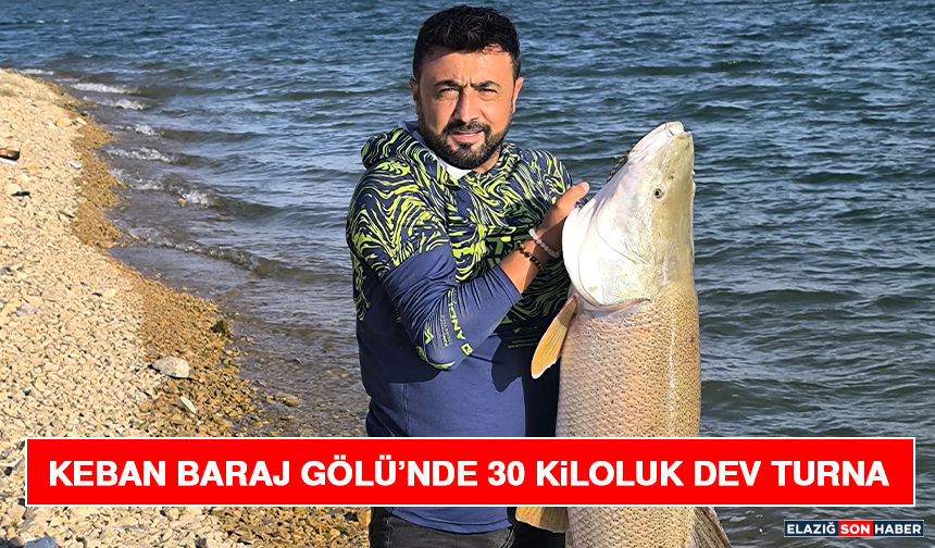 Keban Baraj Gölü’nde 30 Kiloluk Dev Turna Balığı