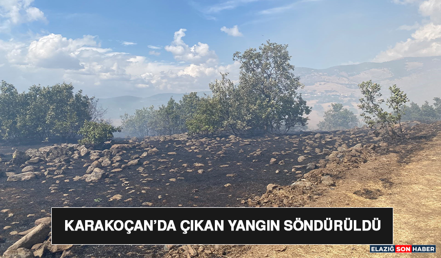 Karakoçan’da Çıkan Yangın Söndürüldü