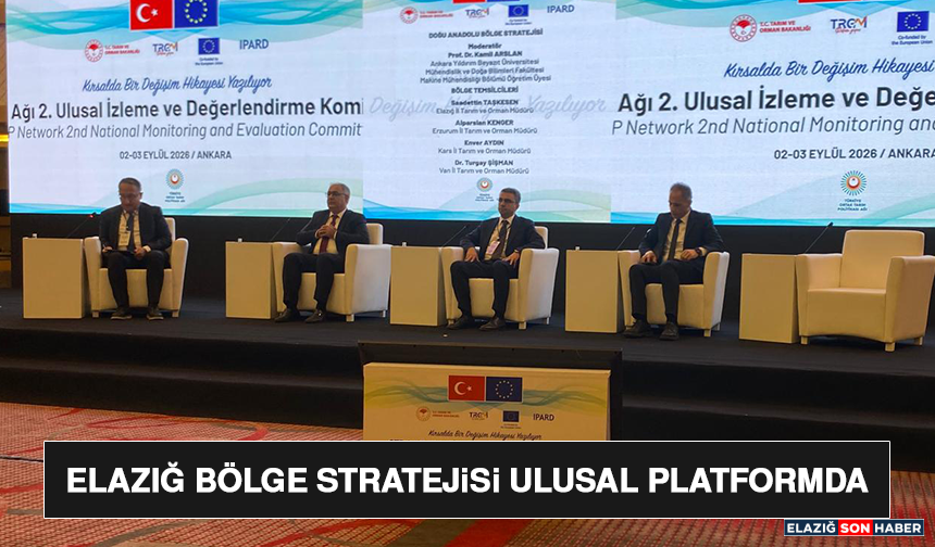 Elazığ Bölge Stratejisi Ulusal Platformda