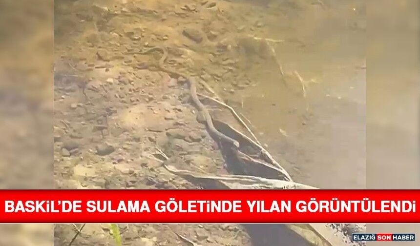 Baskil’de Sulama Göletinde Yılan Görüntülendi