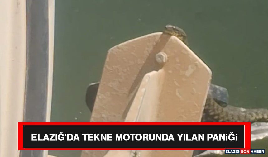 Elazığ'da Tekne Motorunda Yılan Paniği