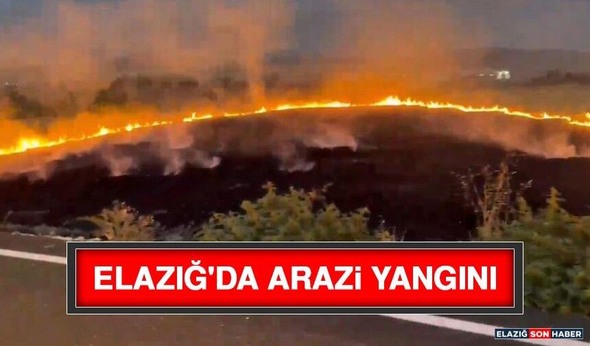 Elazığ'da Arazi Yangını