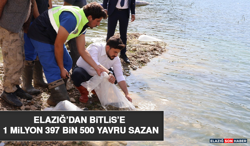 Elazığ’dan Bitlis’e 1 Milyon 397 Bin 500 Yavru Sazan