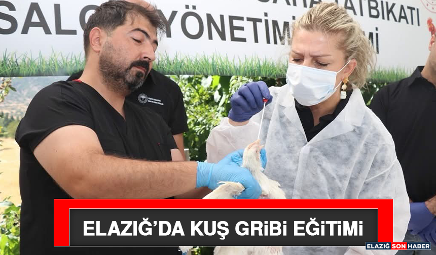 Elazığ’da Kuş Gribi Eğitimi