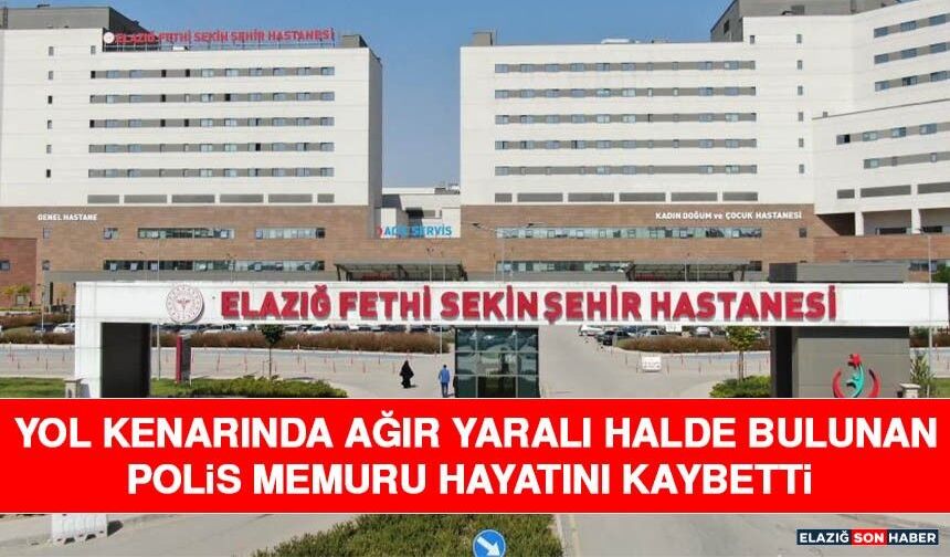 Yol Kenarında Ağır Yaralı Halde Bulunan Polis Memuru Hayatını Kaybetti