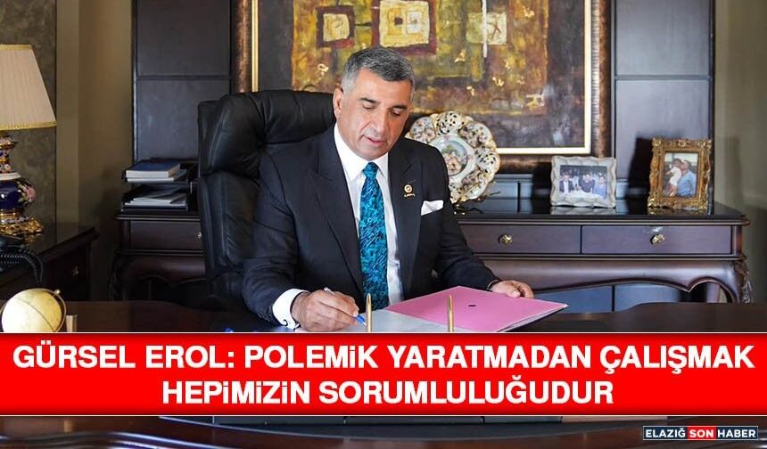 Gürsel Erol: Polemik Yaratmadan Çalışmak Hepimizin Sorumluluğudur
