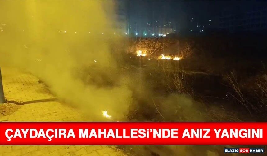 Çaydaçıra Mahallesi’nde Anız Yangını