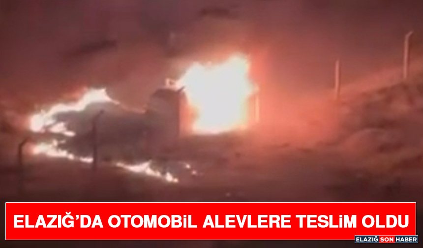 Elazığ’da Otomobil Alevlere Teslim Oldu