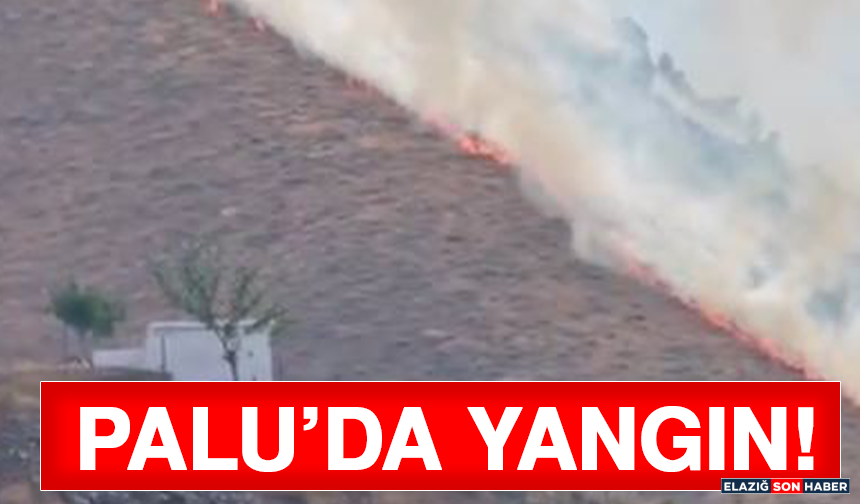 Palu’da Yangın!