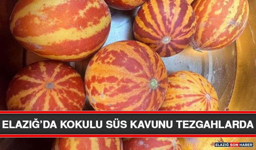Elazığ’da Kokulu Süs Kavunu Tezgahlarda